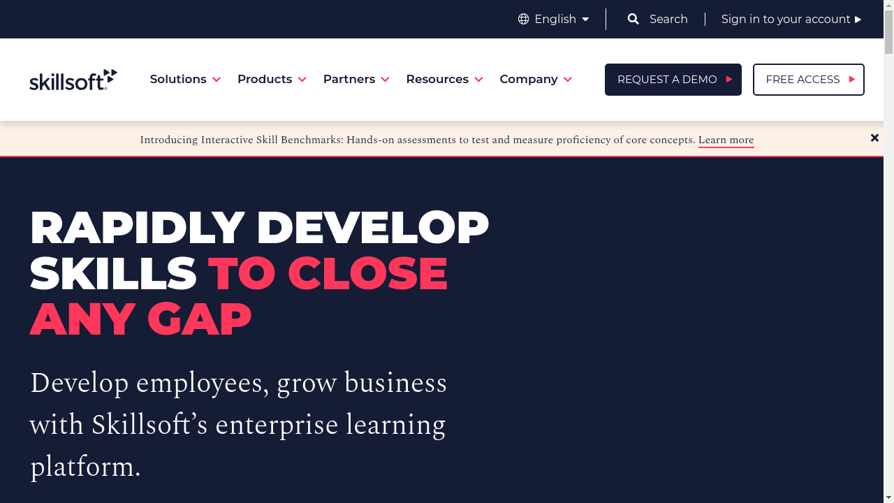 Skillsoft Blog website